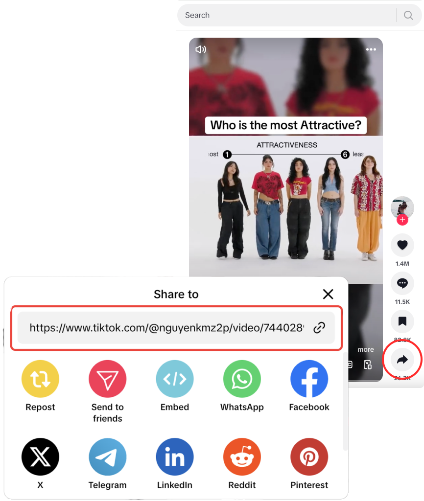 Tiktok Media Downloader