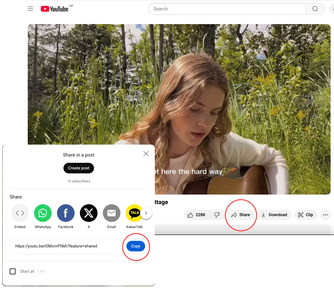 Download YouTube Videos with InstantDP